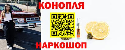 винт Партизанск