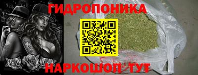 винт Партизанск